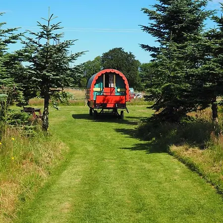 Luxury tent Clissmann Horse Caravans Glamping *