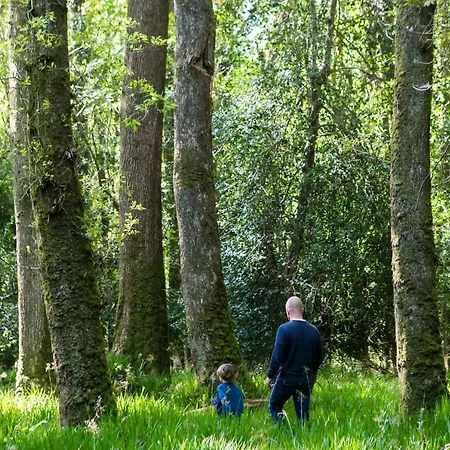 Clissmann Horse Caravans Glamping * Rathdrum