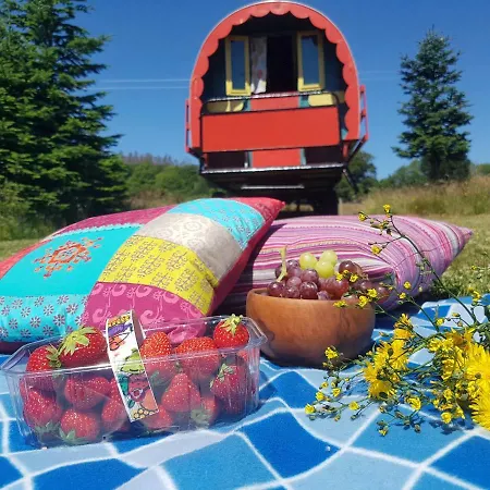 Clissmann Horse Caravans Glamping *