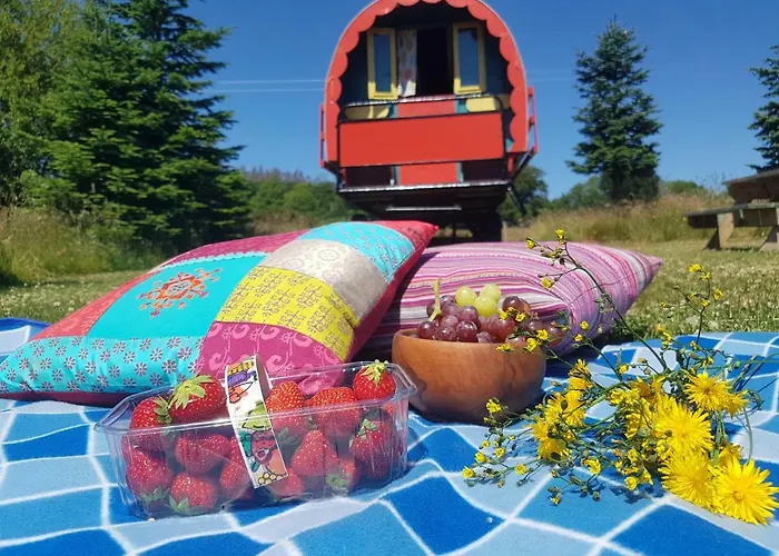 Clissmann Horse Caravans Glamping *